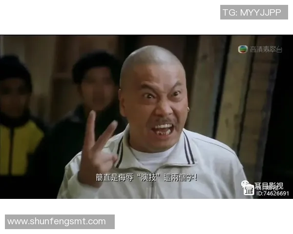 少林足球明星现状揭秘：从巅峰到平淡的职业生涯轨迹与人生转折