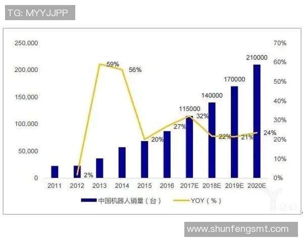 广州排球队的运营揭秘与深度分析探讨排球运动的未来发展方向